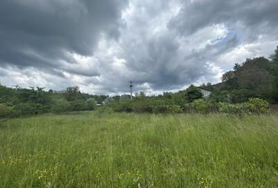 VAND CASUTA CU 3120 MP TEREN, SURDESTI BREAZA - 5