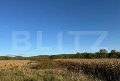 Teren de 1400 mp, în Brănișca - 1