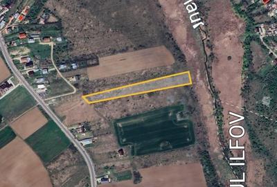 Teren de 7500 mp, în Niculești - 3