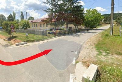 Fost Conac cu padure si teren 54h - 2