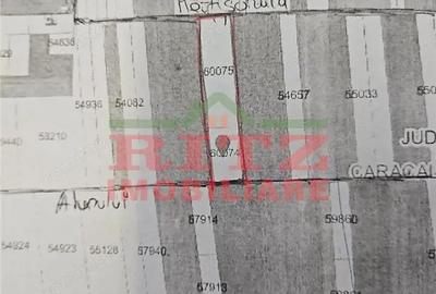 Nou! Teren intravilan 1667 mp, zona Lidl! Nou! Teren intravilan 1667 mp, zona Lidl! - 1