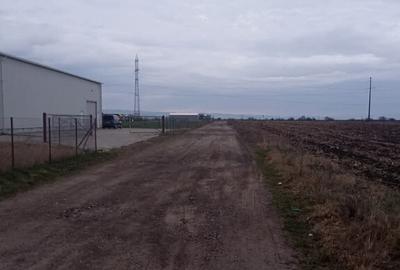 De vanzare terenuri intravilane intre Chilieni si Ozun - 15