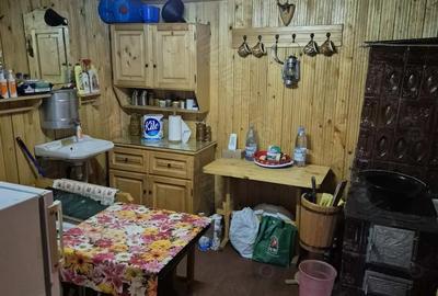 Cabana - Locuinta de vacanta langa Piatra Neamt - 3