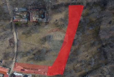 Teren 1,614mp Sohodol / Strada Inv. Ioan Pu?cariu - 1