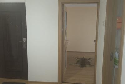Apartament cu 3 camere decomandat, mobilat în Bahne - 7