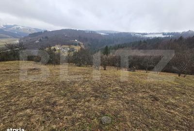 Casă cu 3 camere în Abrud-Sat - 8