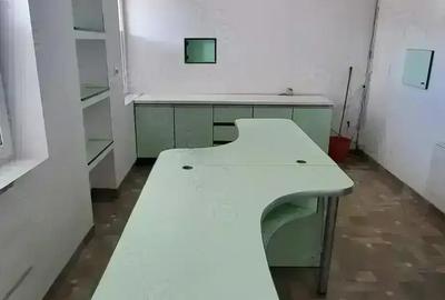 Spatiu de inchiriat Calea Stan Vidrighin - 14