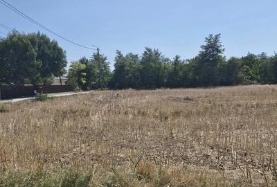 Teren de 800 mp, în Rasa