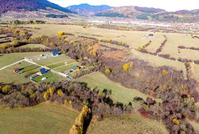 Teren Construcții intravilan de 2500 mp, în Tohănița - 2