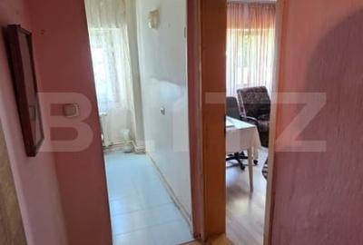 Garsoniera spatioasa/Apartament cu o camera, mobilat- zona BIG, Parter - 5
