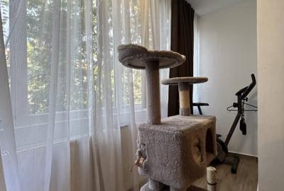 Apartament 2 camere, semidecomandat, etaj 2, zona Gheorghe Lazar - 9