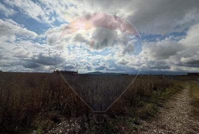 Comision 0%! Lot de casa in zona de dezvoltare, intre Sanpetru si Bod - 5