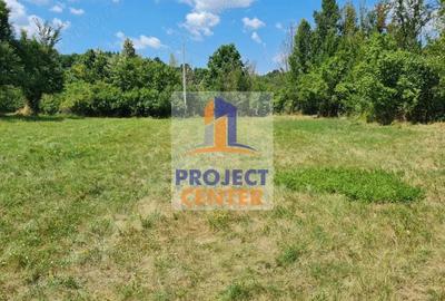 Teren de 1974 mp, în Merișani - 3