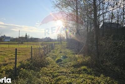 Teren de 10860 mp, în Gălănești - 13