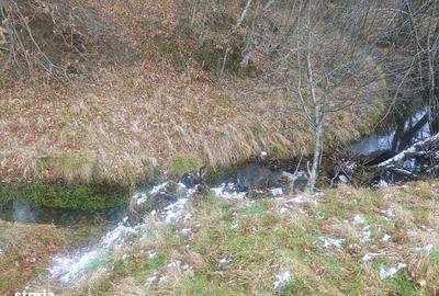 Spațiu comercial, în Paltin - 13