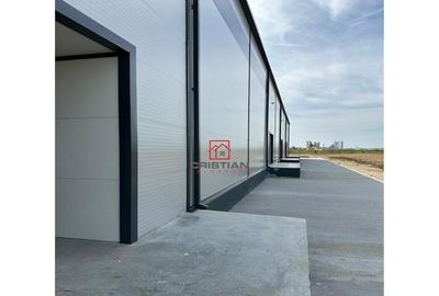 Depozit/hala/spatiu industrial Theodor Pallady - Drumul Int - 3