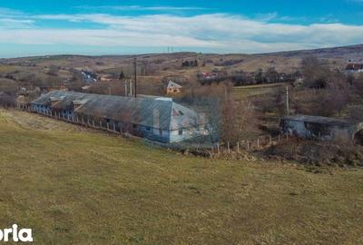 Teren de 7400 mp, în Căpușu Mare - 6