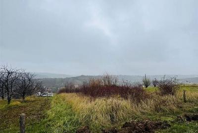 Spațiu comercial, în Central - 4