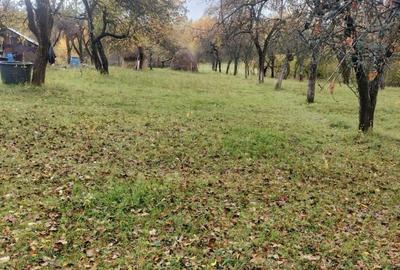 Casă cu 4 camere în Tomnatic - 7