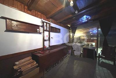 Casa de vanzare in zona Turnisor utilata mobilata curte amenajata - 12