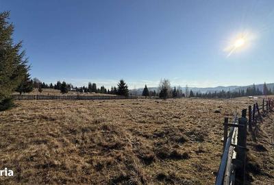 Spațiu comercial, în Fundu Moldovei - 5