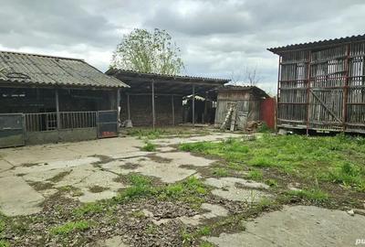 Casă cu 3 camere în Avram Iancu - 2