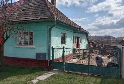 Casă cu 3 camere cu Teren 150 Mp în Păsăreni - 4