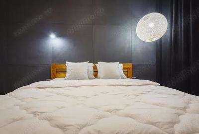 Apartament cu 2 camere semidecomandat în Vitan