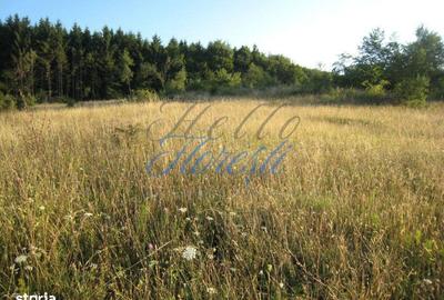 Spațiu comercial, în Chinteni - 1