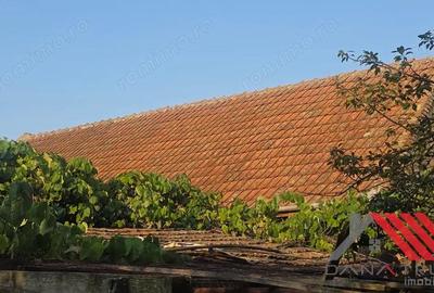 Topolova?u Mare Casa si Teren 1683 mp - 48.500 euro - 11