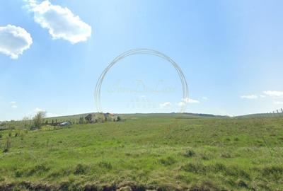 Teren cu autorizatie, 1500 mp, Campenesti, zona Lacul 1 - 3