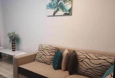 Apartament doua camere, deco, mobilat utilat frumos, Parcul Catedralei - 8