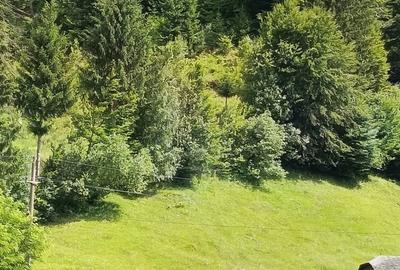 Teren de 3900 mp, în Podu Dâmboviței - 5