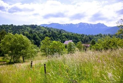 Teren intravilan - 1.050 mp în Bran cu utilitati - priveliște Bucegi - 2