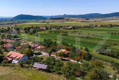 Casa de vanzare in Rovina(Branisca) - 8