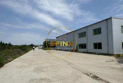 Hala si birouri zona Mogosoaia sos Odai - 20