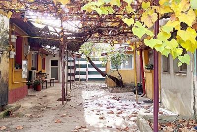 Casă individuală cu 4 camere cu Teren 90 Mp în Tei - 8