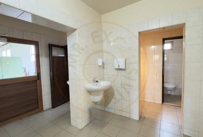 Cladire Industriala Hala Productie, Depozitare, Birouri-Teren 3140 mp - Carei - 8
