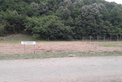 Spațiu comercial, în Uileacu Șimleului - 5