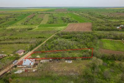 LETCA NOUA, TEREN CONSTRUCTII 1184 MP, FRONT 21 M ! - 10