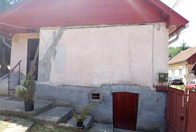 Anina, Sigismund, Casa 4 Incaperi, 1439mp Teren, ZERO Comisi - 6