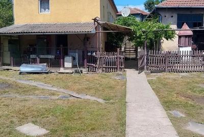 Casă cu 3 camere cu Teren 2000 Mp în Brănișca - 9