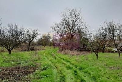 BARCANESTI -  casa +curte+teren 16k mp - 52