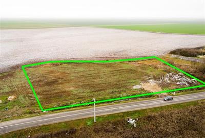 Teren intravilan de 5000 mp, în Roit - 4