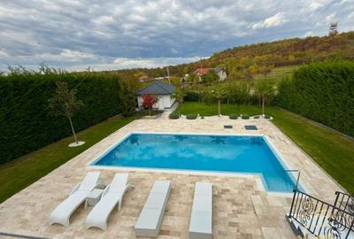 Vila deosebita cu piscina si finisaje premium- str. Strugurilor, Oncea - 4
