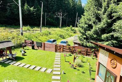 Casă cu 4 camere cu Teren 5500 Mp în Pojorâta - 5