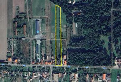 Teren de 5500 mp, în Bazoș - 1