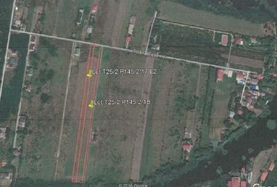 Teren 10000 mp Deschidere Lac Silistea Snagovului De Vanzare Teren 10000 mp Deschidere Lac Silistea Snagovului De Vanzare - 5