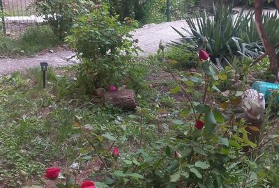 Apartament cu 2 camere semidecomandat în Craiovei - 1