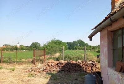 Casă cu 4 camere cu Teren 2877 Mp în Breștea - 4